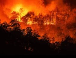 Api Semakin Berkobar di Blok Tegal Alun Gunung Papandayan Garut