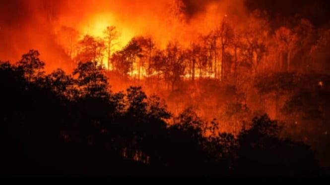 Api Semakin Berkobar di Blok Tegal Alun Gunung Papandayan Garut