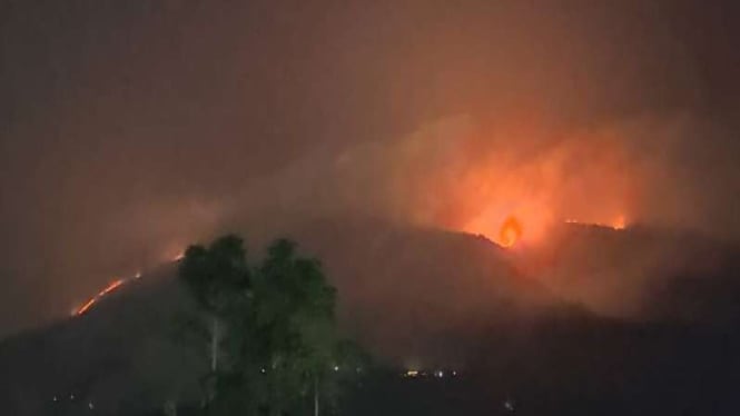 Penyebab Kebakaran di Gunung Merbabu Terungkap Setelah Api Padam