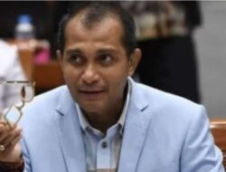 Besok KPK akan Memeriksa Wakil Menteri Hukum dan HAM Eddy Hiariej