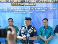 Kementerian Kelautan dan Perikanan Menggelar Operasi untuk Memantau dan Menindak Penyelundupan Benih Benih Lobster di Bandara Ngurah Rai