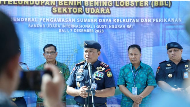 Kementerian Kelautan dan Perikanan Menggelar Operasi untuk Memantau dan Menindak Penyelundupan Benih Benih Lobster di Bandara Ngurah Rai