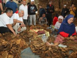 Ganjar Berencana Menjadikan Jawa Tengah Sebagai Pusat Produksi Tembakau di Indonesia