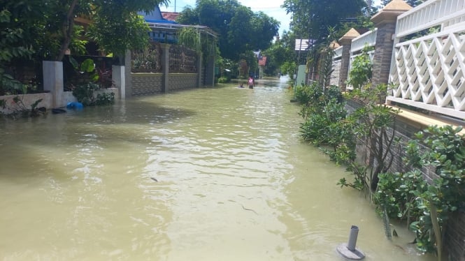 Banjir Membanjiri Ratusan Rumah di Lamongan dan Gresik