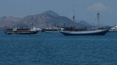 Dilarang Kapal Wisata Berlayar ke Pulau Komodo karena Gelombang Tinggi