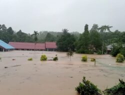 Banjir dan Longsor Melanda Luwu, 1.200 Warga Mengungsi, 7 Meninggal dan 15 Rumah Hanyut