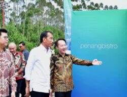 Jokowi Akan Berkantor di IKN Besok