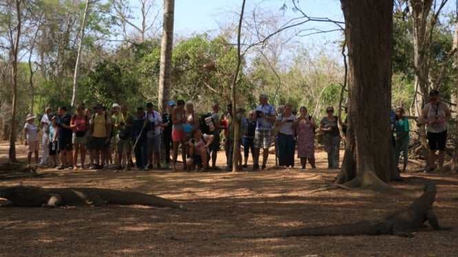 Taman Nasional Komodo Akan Ditutup secara Berkala, Sandiaga Uno Menjelaskan Hal Ini