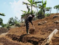Pertanian Organik dan Keberlanjutan di Arista Montana: Kolaborasi Alam dan Manusia