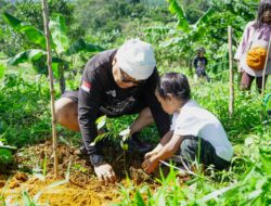 Taru Jampinang: Pohon dengan Jiwa Pancasila