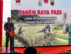 Menjaga Kedaulatan Wilayah: Pentingnya Langkah Proaktif